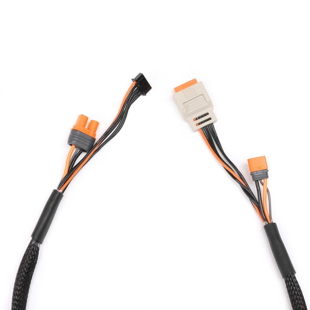 Spektrum Charge Lead with Balance Extension 24" IC2 2-4S SPMX-1010