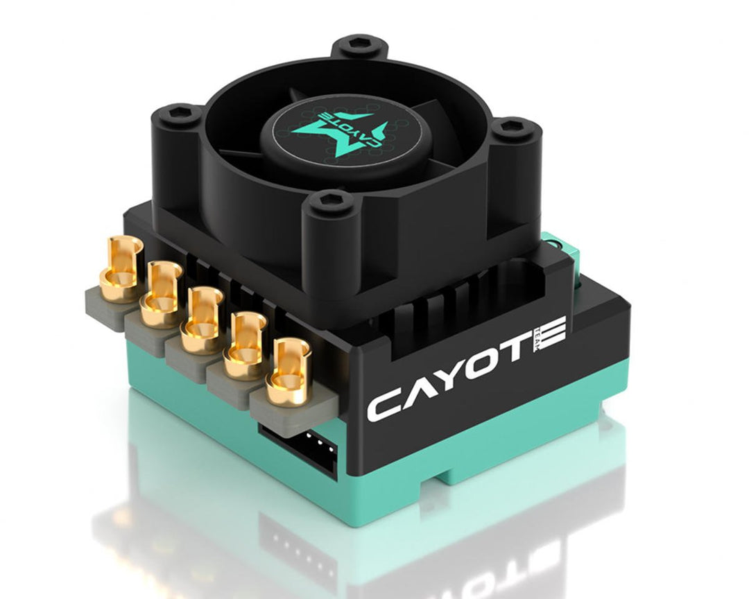 Cayote Crest RS80 1/10 Stock 80A Sensored Brushless Competition ESC CYEA11003