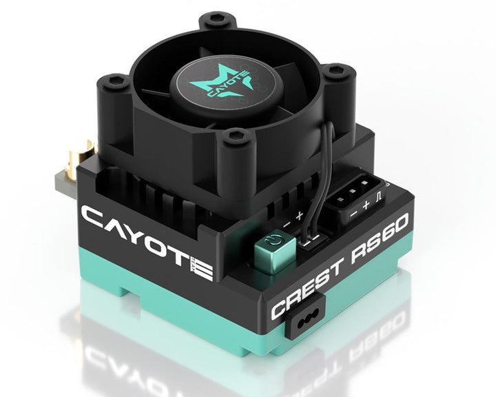 Cayote Crest RS60 1/10 Stock 60A Sensored Brushless Competition ESC CYEA11004