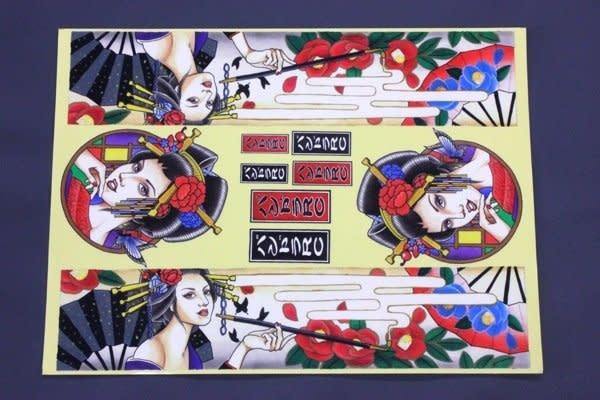 Pandora RC (VGP-603 ) Vinylgraphic ver.3 Courtesan Unpainted - Excel RC