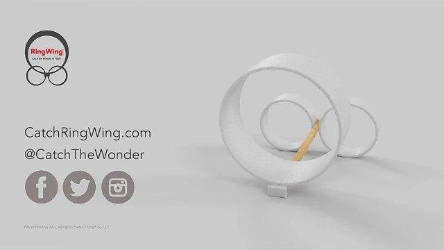 Rwing商品 RingWing® Flying Wing – Excel RC