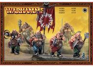 Warhammer Fantasy Battle: Ogre Kingdoms Ogres
